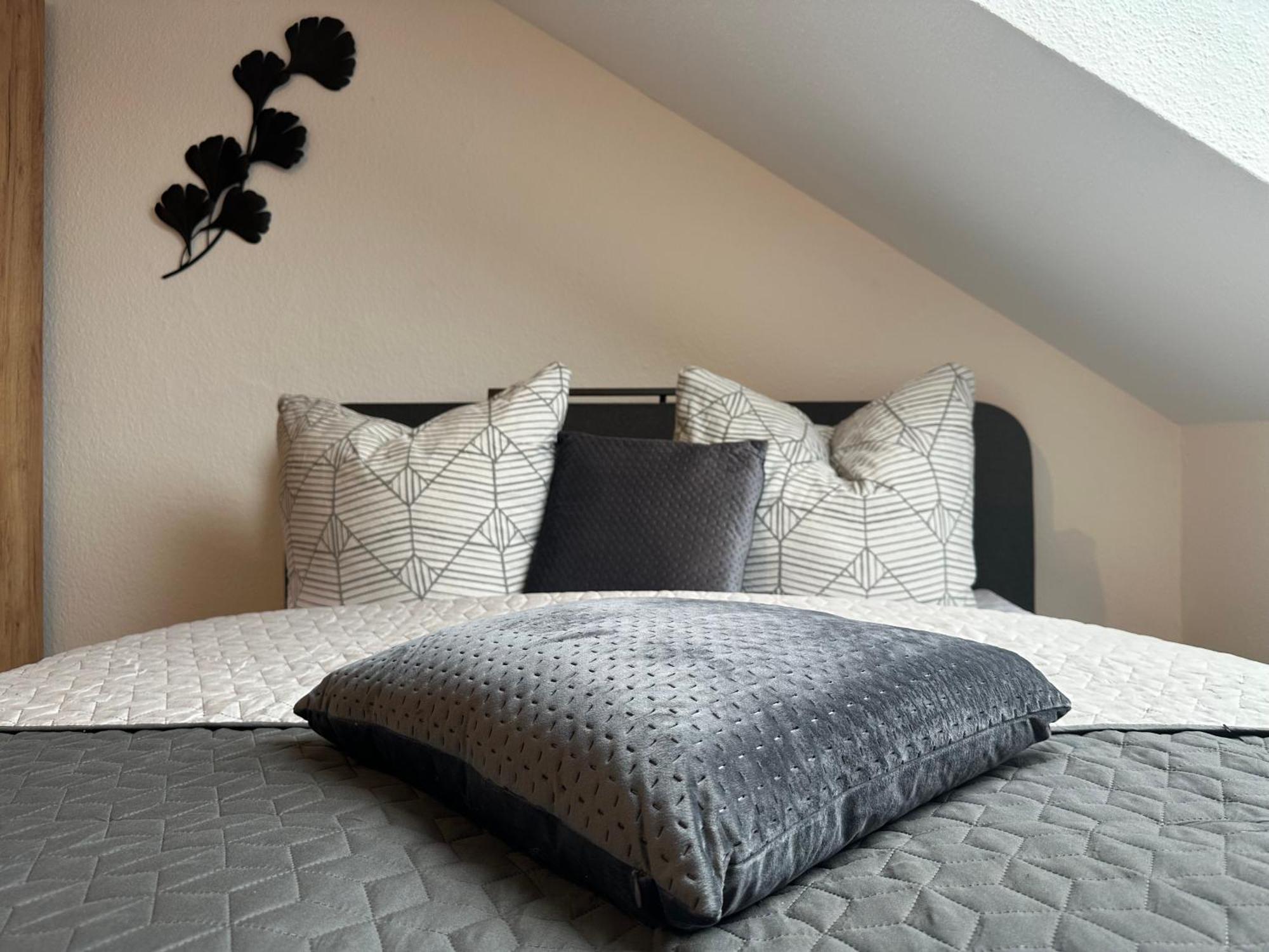 Ferienwohnung Zeitz - Weisse Elster Apartment ภายนอก รูปภาพ